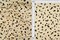 1 Yard Twill Animal Leopard Print Fabric, 58/59″ Wide Polyester Spandex Blend